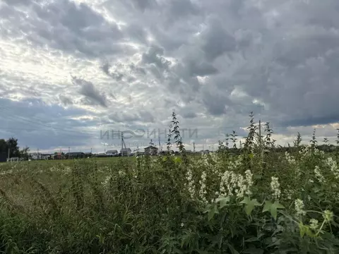 Участок в Московская область, Раменский муниципальный округ, Усадьба ...