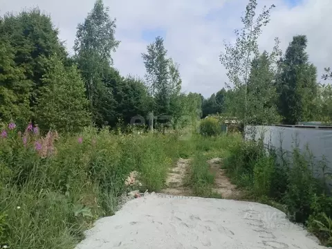 Участок в Тюменская область, Нижнетавдинский муниципальный округ, ...