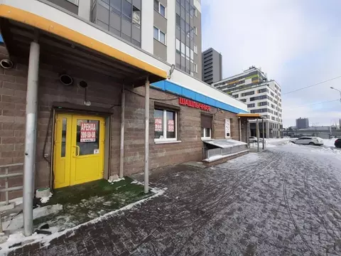 Помещение свободного назначения в Санкт-Петербург Витебский просп., ...