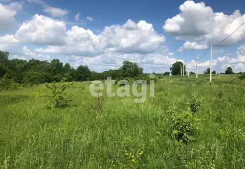 Участок в Калужская область, Ферзиковский муниципальный округ, ...