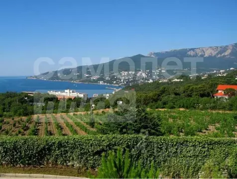 Студия Крым, Ялта муниципальный округ, Парковое пгт ул. Клубная, 2 ...