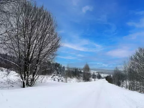 Участок в Московская область, Дмитровский муниципальный округ, ...