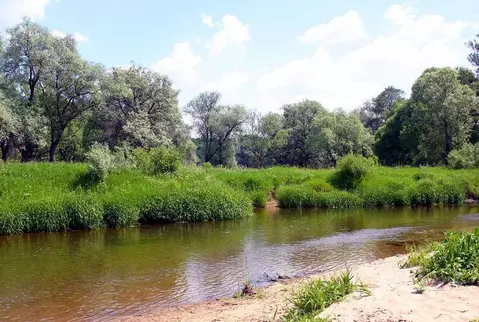 Участок в Тверская область, Зубцовский район, д. Ботино  (80.0 сот.)