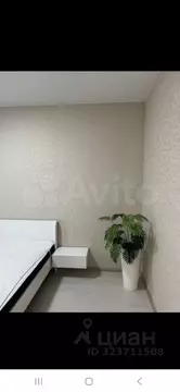 Студия Белгородская область, Белгород ул. Каштановая, 18 (28.0 м)