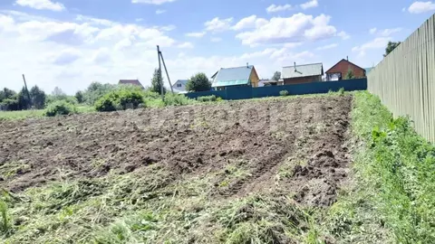 Участок в Новосибирская область, Коченевский район, Сибирячка СНТ  ...