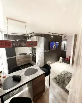 Студия Воронежская область, Воронеж Никитинская ул., 36 (31.4 м)