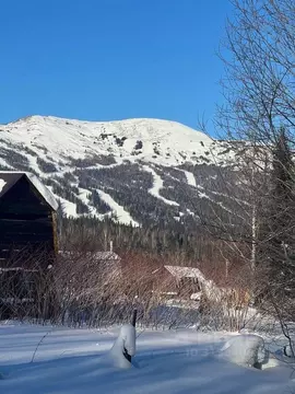 Участок в Кемеровская область, Таштагольский район, Шерегешское ...