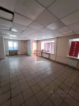 Торговая площадь в Курганская область, Курган Станционная ул., 29 (40 ...