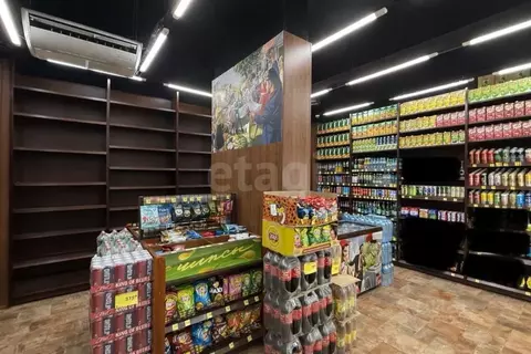 Помещение свободного назначения в Московская область, Балашиха ш. ...