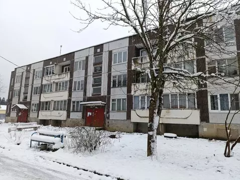 4-к кв. Ленинградская область, Волосовский район, Клопицкое с/пос, ...