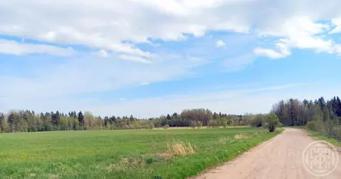 Участок в Ленинградская область, Выборгский район, Красносельское ...