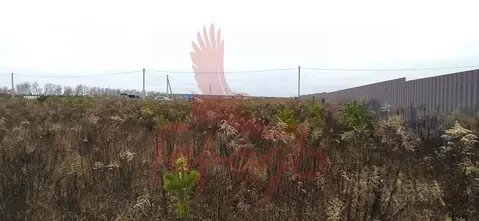 Участок в Орловская область, Орловский муниципальный округ, д. ...