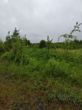 Участок в Московская область, Можайский муниципальный округ, Уваровка ...