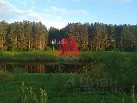 Участок в Ярославская область, Гаврилов-Ямский муниципальный округ, ...