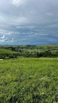 Участок в Алтайский край, Алтайский район, Жемчужина Алтая ДНТ  (10.0 ...