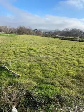 Участок в Крым, Симферопольский район, с. Мазанка  (2.51 сот.)