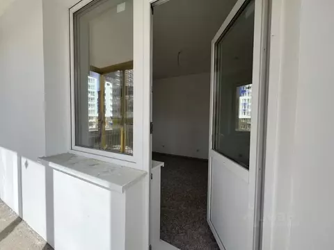 Студия Красноярский край, Красноярск ул. Лесников, 49 (21.6 м)