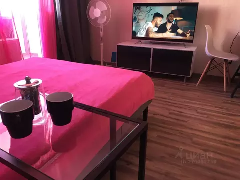 Студия Санкт-Петербург ул. Плесецкая, 10 (25.7 м)