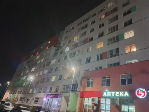 1-к кв. Нижегородская область, Кстово бул. Нефтепереработчиков, 11 ...