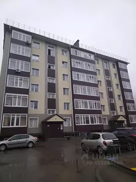 Свободной планировки кв. Алтай, Горно-Алтайск ул. Петра Сухова, 6 ...