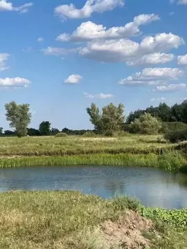 Участок в Волгоградская область, Дубовский район, Усть-Погожинское ...