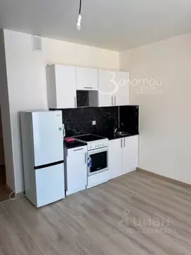 Студия Нижегородская область, Нижний Новгород д. Анкудиновка, ул. ...