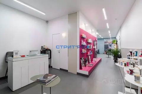 Торговая площадь в Москва ул. Большая Дмитровка, 7/5С3 (66 м)