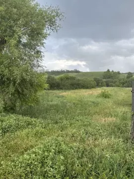 Участок в Белгородская область, Белгородский район, Пушкарское с/пос, ...