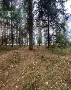 Участок в Ленинградская область, Всеволожск  (20.0 сот.)