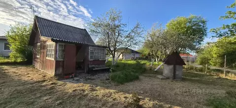 Участок в Калининградская область, Калининград Янтарь СНТ, 7-я линия ...