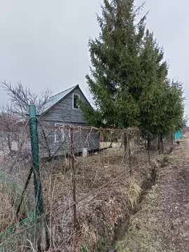 Участок в Москва Осинка СНТ, 38 (6.0 сот.)