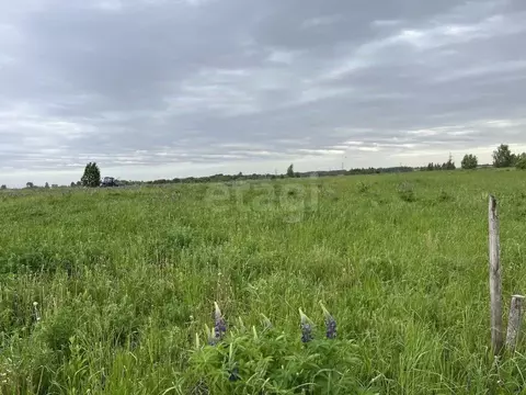 Участок в Брянская область, Брянский район, Добрунское с/пос, пос. ...