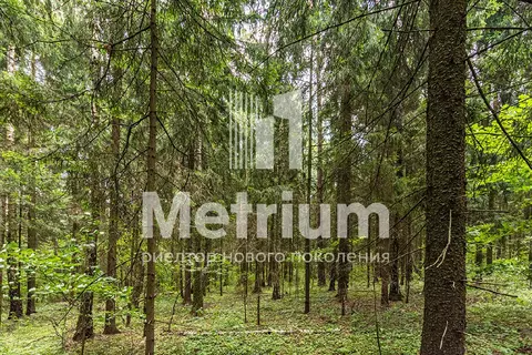 Продается участок в пос. Сосновый Бор