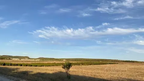 Участок в Крым, Бахчисарайский район, Верхореченское с/пос, с. ...