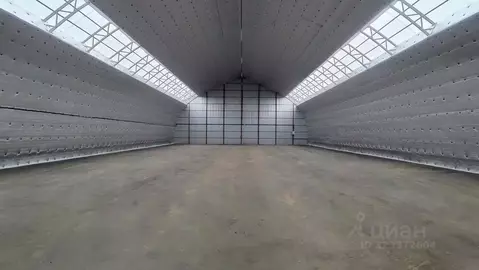 Склад в Московская область, Балашиха ш. Косинское, 17А (540 м)