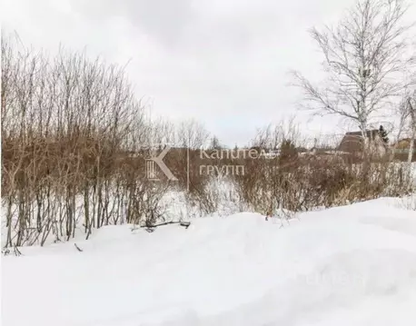 Участок в Тюменская область, Тюмень Якорь садовое товарищество, ул. ...