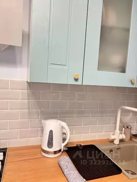 1-к кв. Воронежская область, Воронеж Средне-Московская ул., 45 (31.0 ...