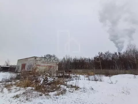 Помещение свободного назначения в Тамбовская область, Тамбов проезд ...