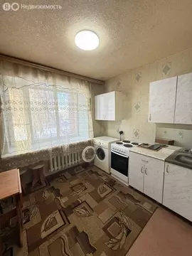 1-комнатная квартира: Кстово, Зелёная улица, 10 (24.3 м)