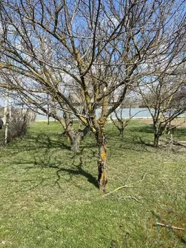 Участок в Крым, Белогорский район, с. Ароматное ул. Садовая, 56 (15.0 ...