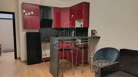 Студия Ленинградская область, Мурино Всеволожский район, бул. ...