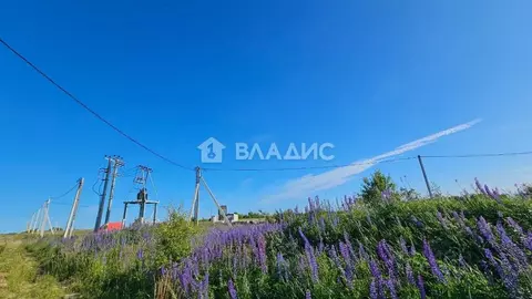 Участок в Калининградская область, Гурьевский муниципальный округ, ...