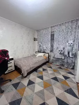 2-к кв. Воронежская область, Воронеж ул. Генерала Лизюкова, 85 (47.0 ...