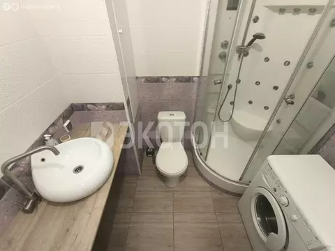 Квартира-студия: Санкт-Петербург, проспект Просвещения, 43 (26 м)