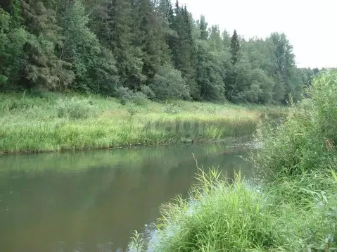 Дом в Ярославская область, Любимский муниципальный округ, д. Касьяново ...