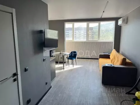 Студия Приморский край, Владивосток ул. Анны Щетининой, 12 (27.7 м)