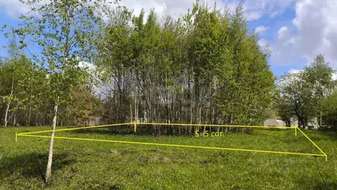 Участок в Брянская область, Брянский район, Добрунское с/пос, Сигнал ...