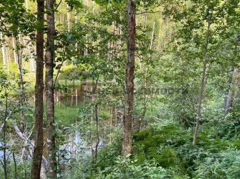 Участок в Ленинградская область, Всеволожский район, Куйвозовское ...
