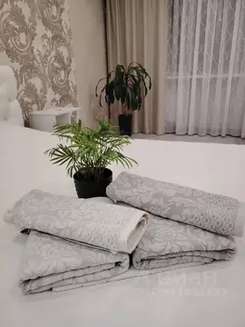 Студия Кировская область, Киров Октябрьский просп., 118 (31.0 м)