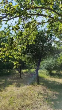 Участок в Краснодарский край, Анапа муниципальный округ, Куток хут. ...
